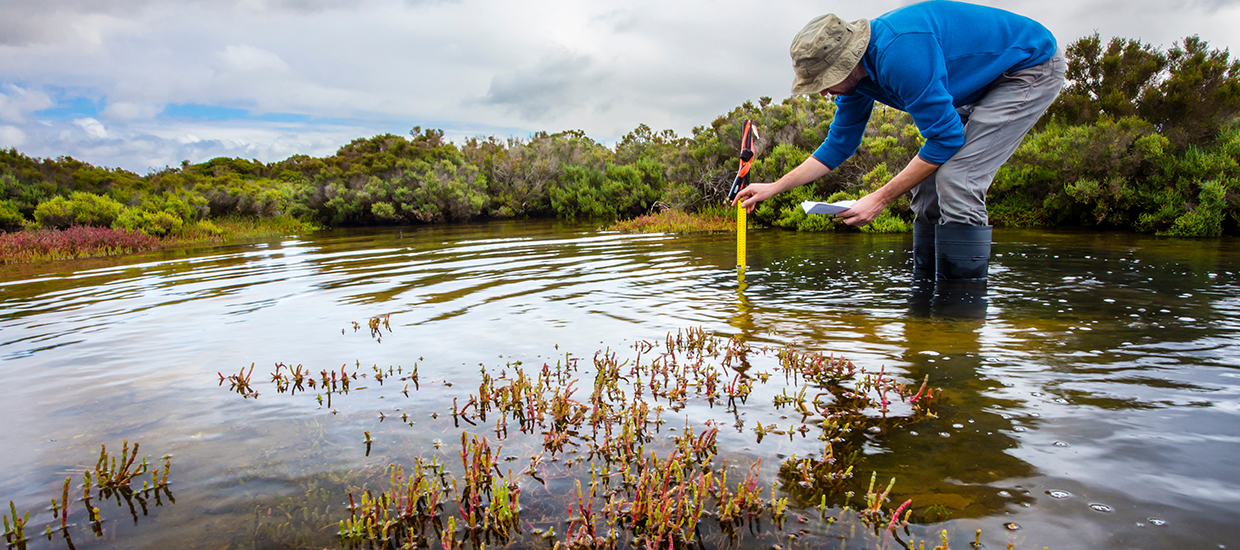 Man in the Everglades measuring water with a measuring tape.